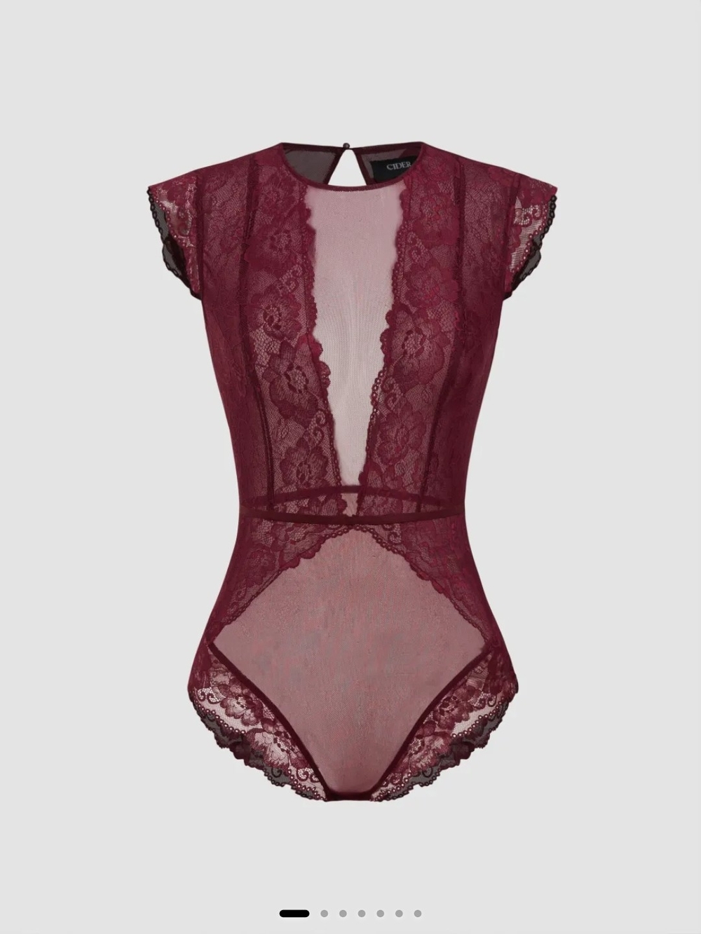 Lace Round Neckline Solid Cut Out See-through Bodysuit